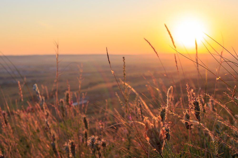 Photograph by Екатерина Здобнова