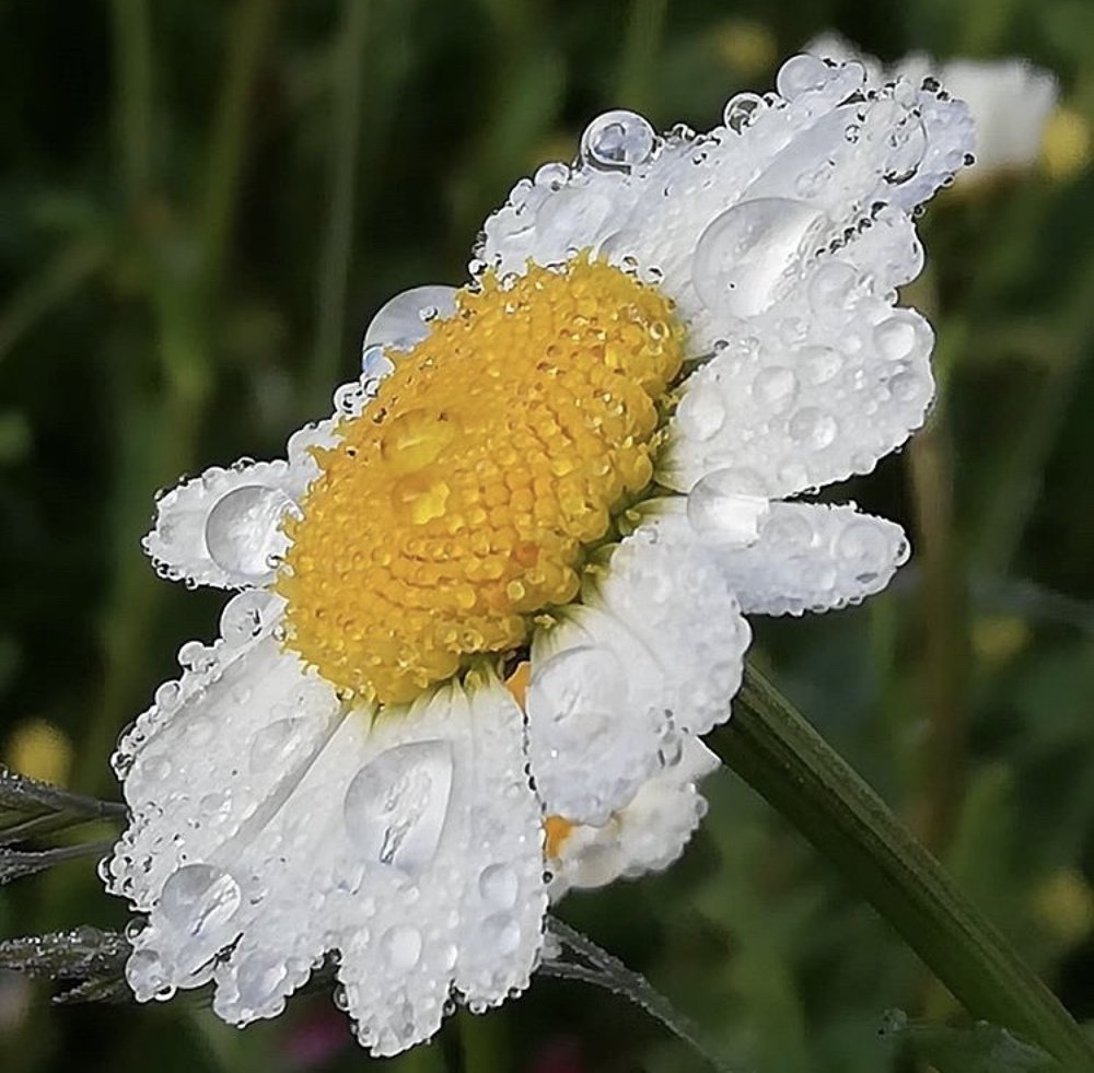 Во время дождя