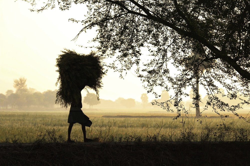 Photograph by Fuad sarker