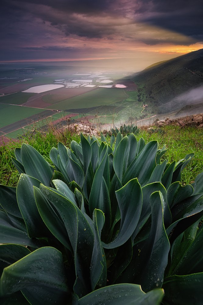 Where Saul Fell on His Sword