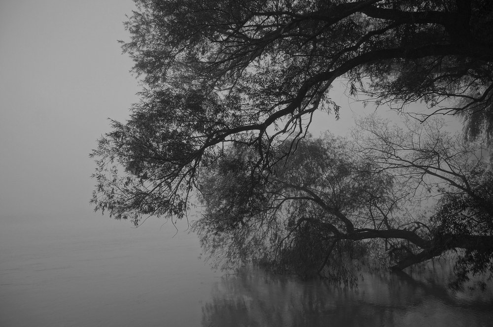 Хмурое утро