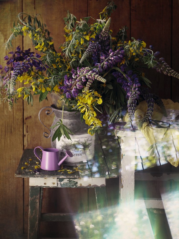 Фотография автора Svetlana Inyusheva