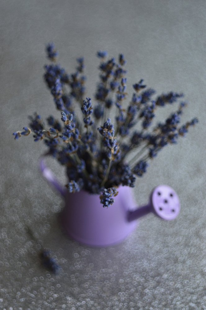 Крымский прованс