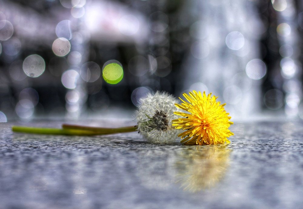 Photograph by Наталья Хортова