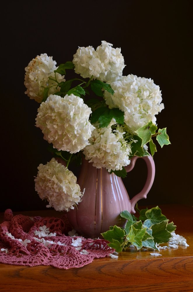 Фотография автора Наталья Елисеева