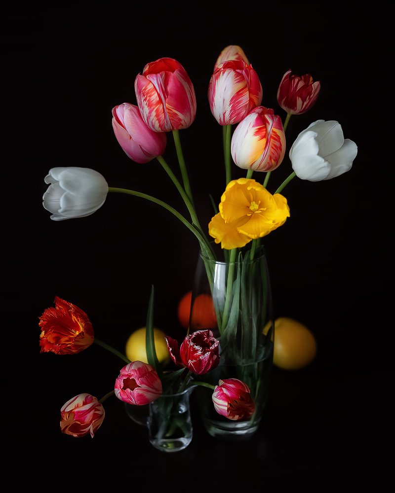 Фотография автора Елена Баклач