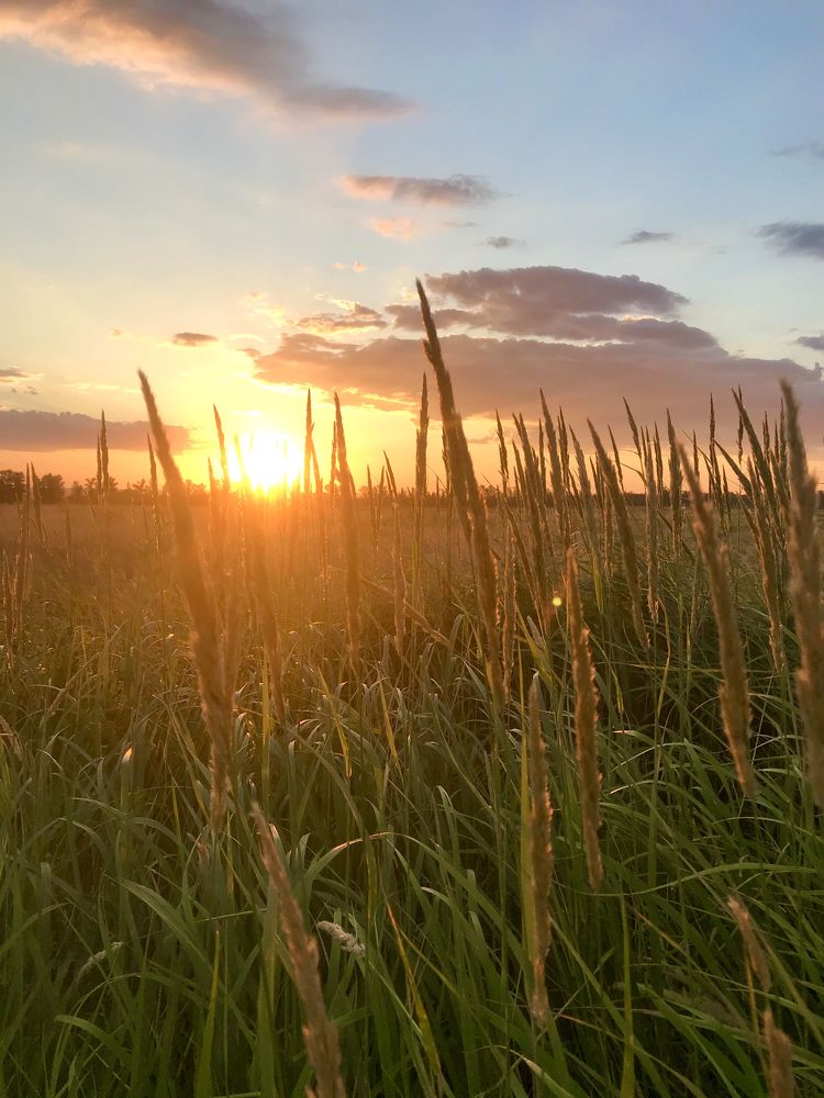 Photograph by Ирина Молибог