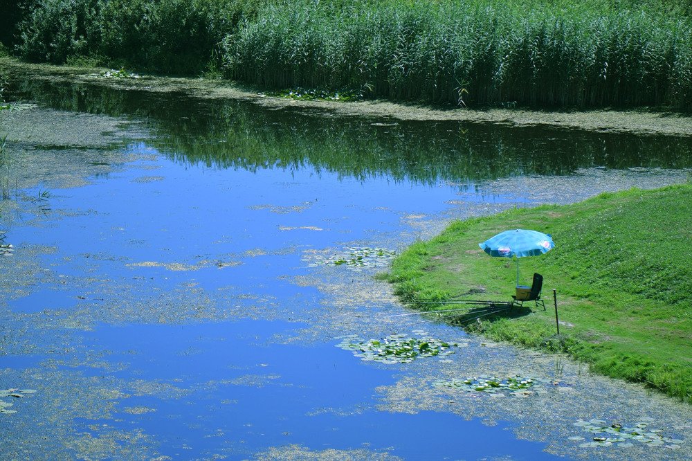 Photograph by Marija Milosavljevic