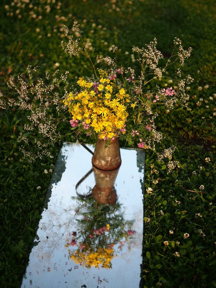 Фотография автора Svetlana Inyusheva