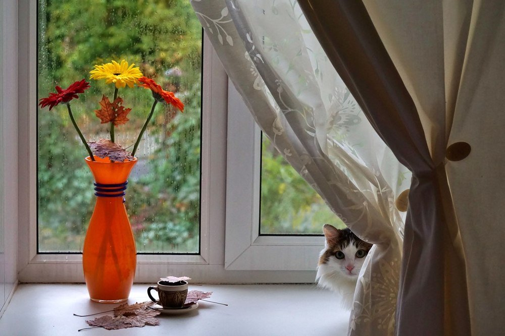 Photograph by Александр Попов