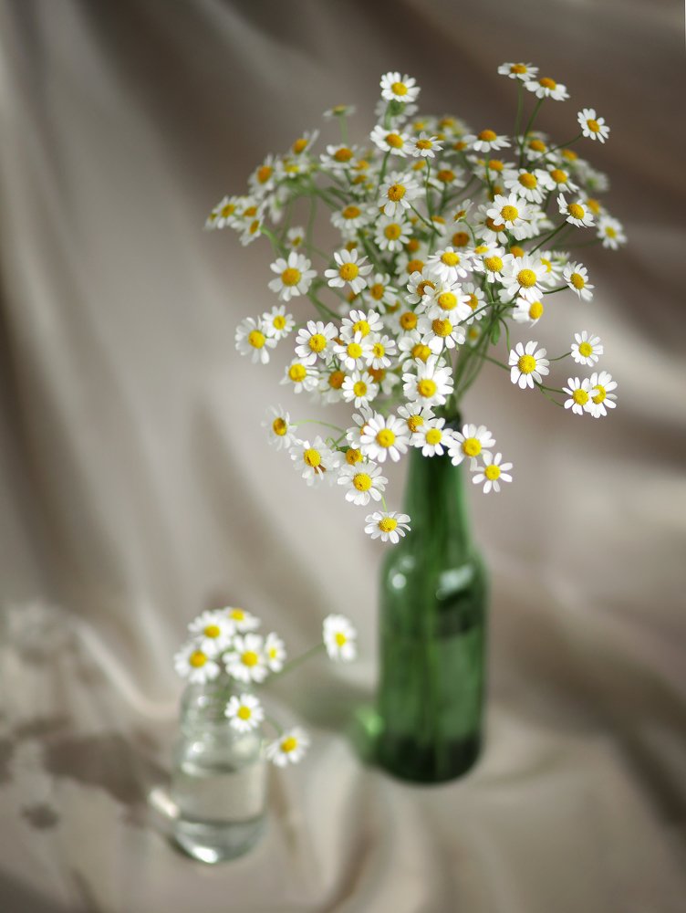 Photograph by Валентина Абдрашитова