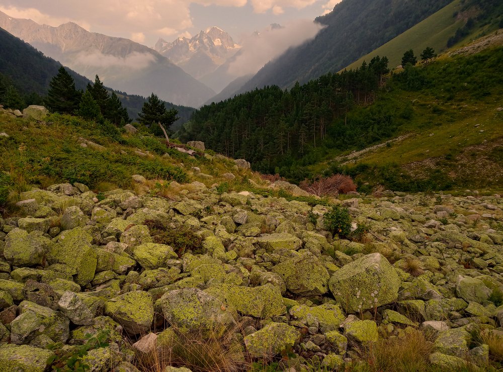 Photograph by Татьяна Шелудяк