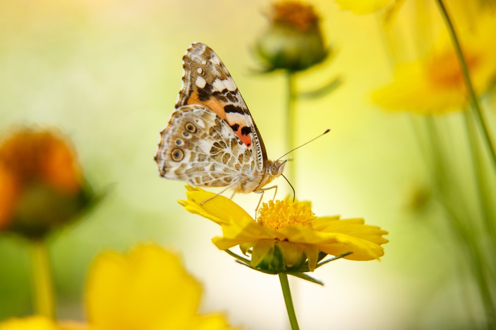 Photograph by  AZAT_A.J.PHOTOS