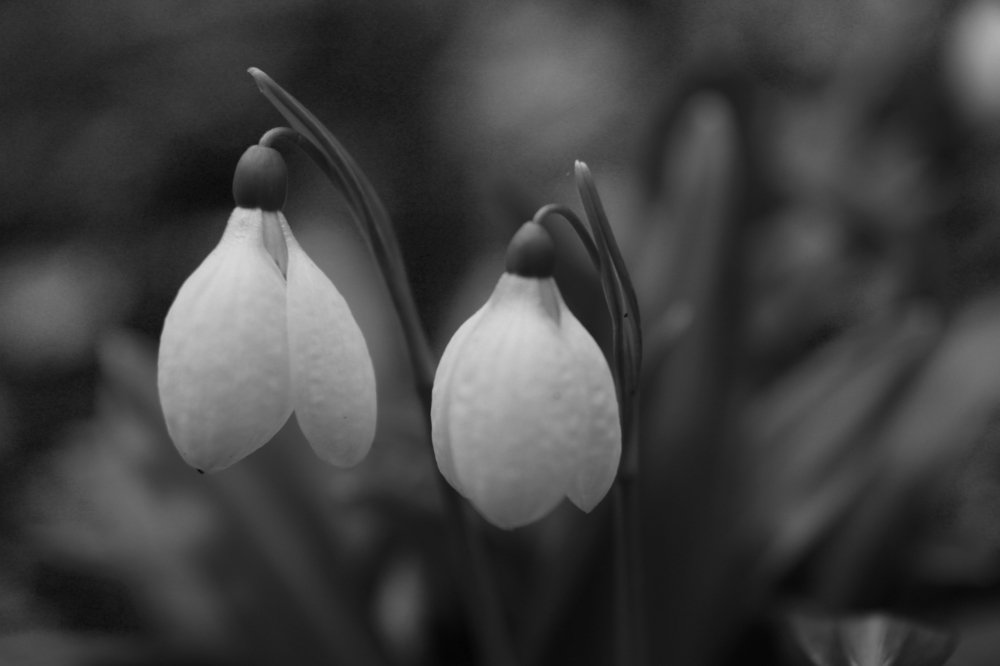 Photograph by Инга Крыжановская