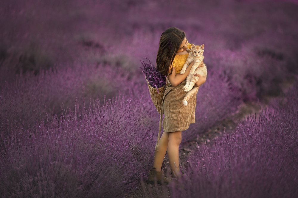 Фотография автора Limor David Samovich