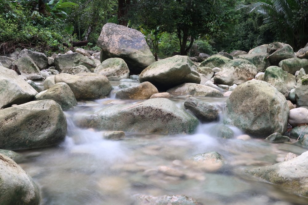 Photograph by Hani Edmond Heretringgi