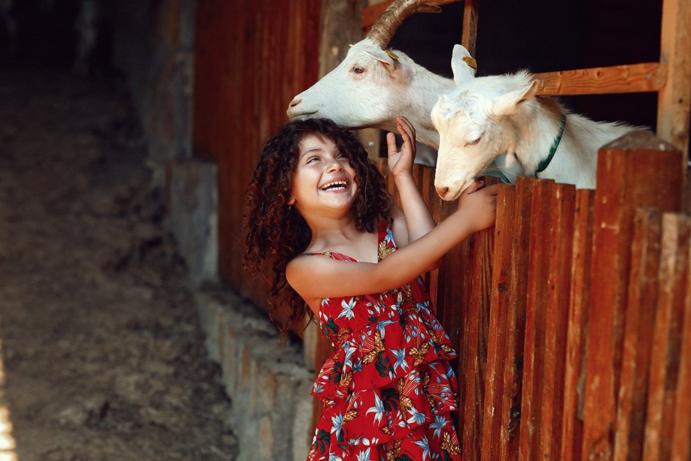 Фотография автора Наталья Законова