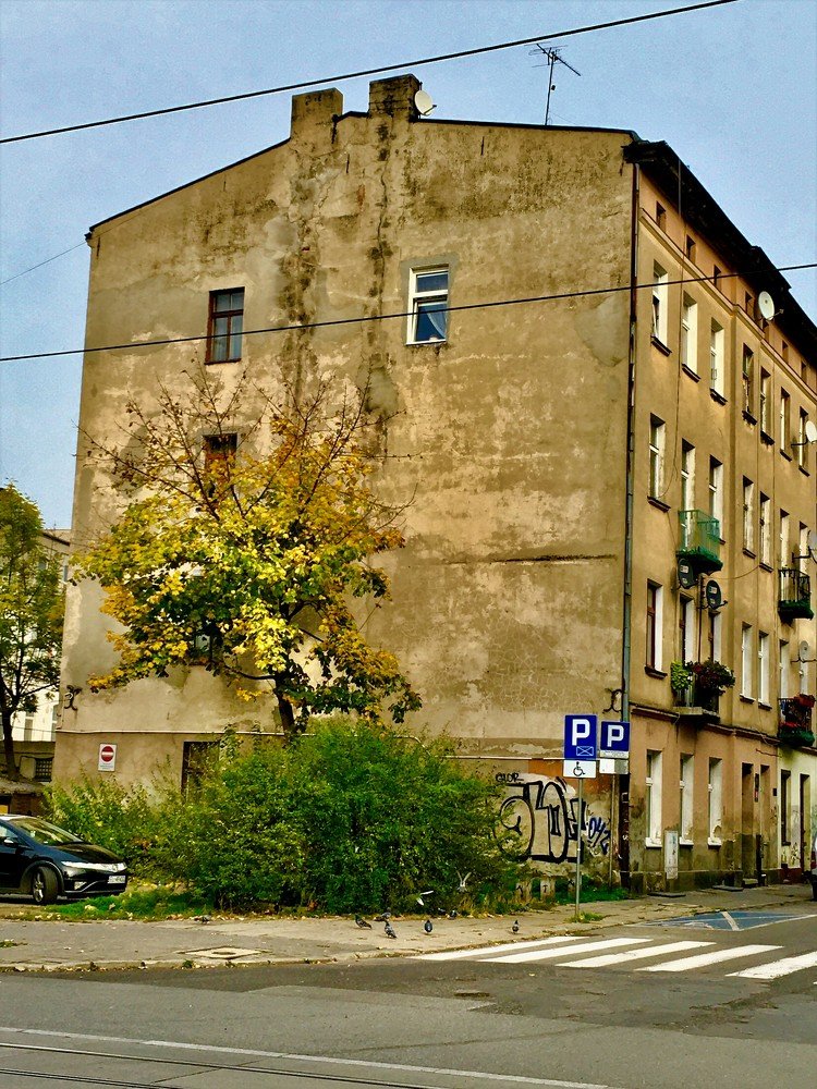 Photograph by Viktoriia Shtefanesa