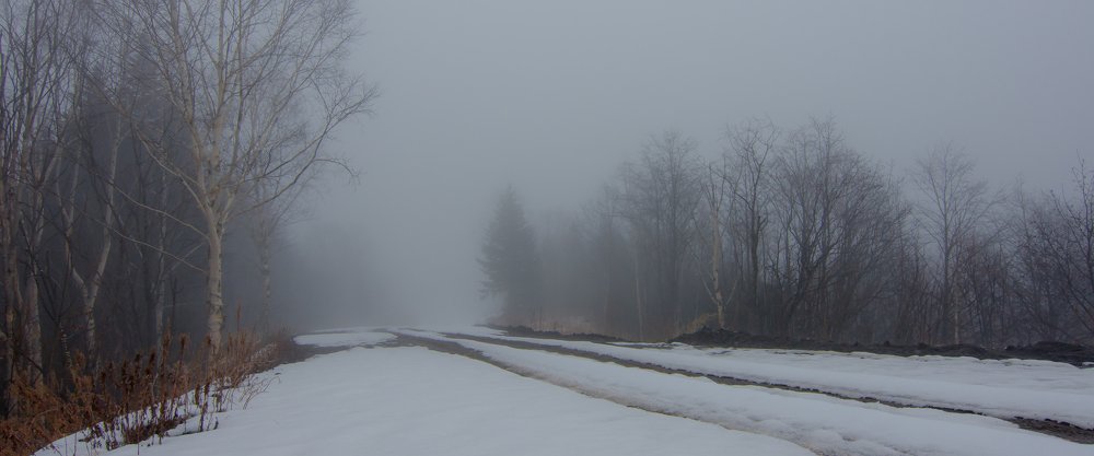 Photograph by Виталий Курин