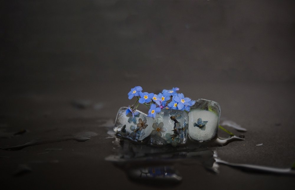 Photograph by Екатерина Шугаева