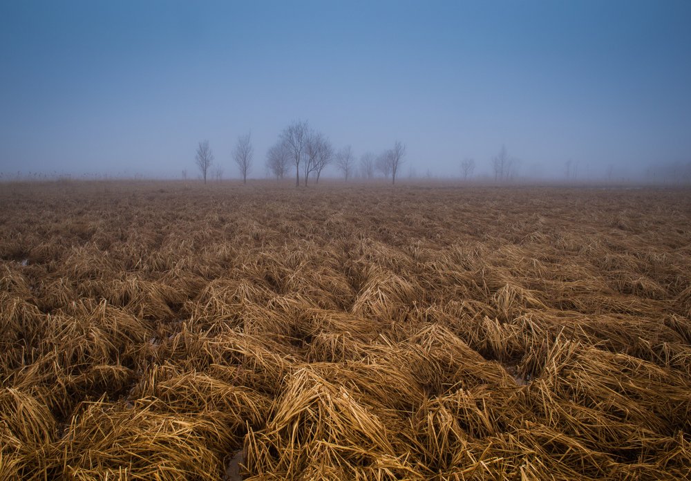 Photograph by Виталий Курин