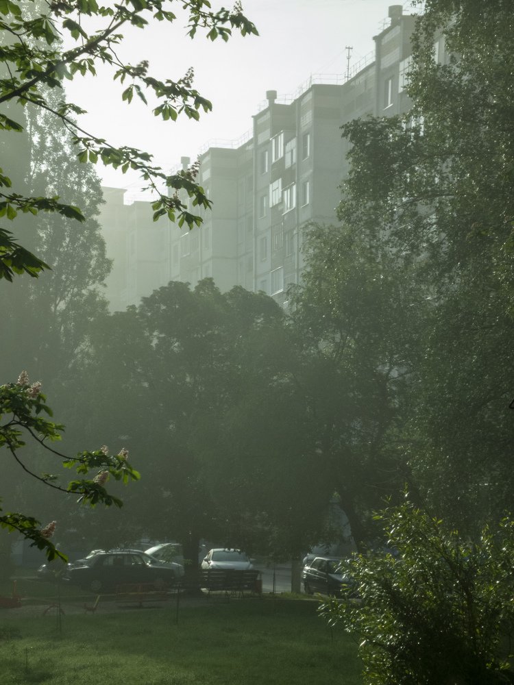 Двор в тумане