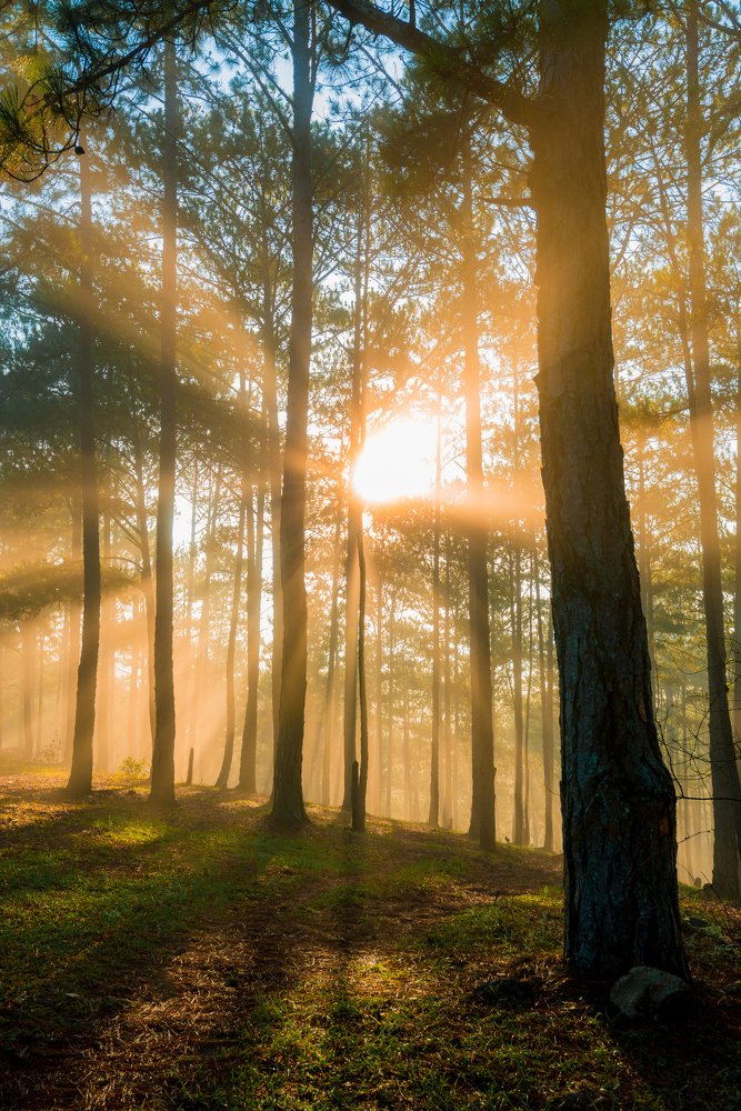 Photograph by Van Nguyen