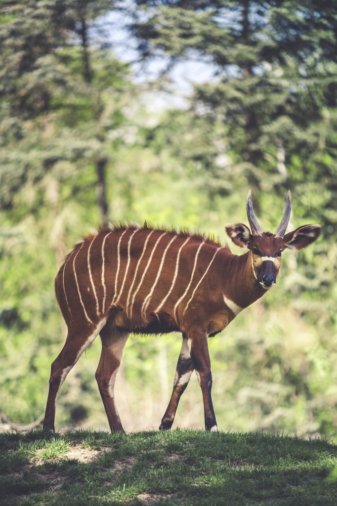 Photograph by Алексей Хоруженко