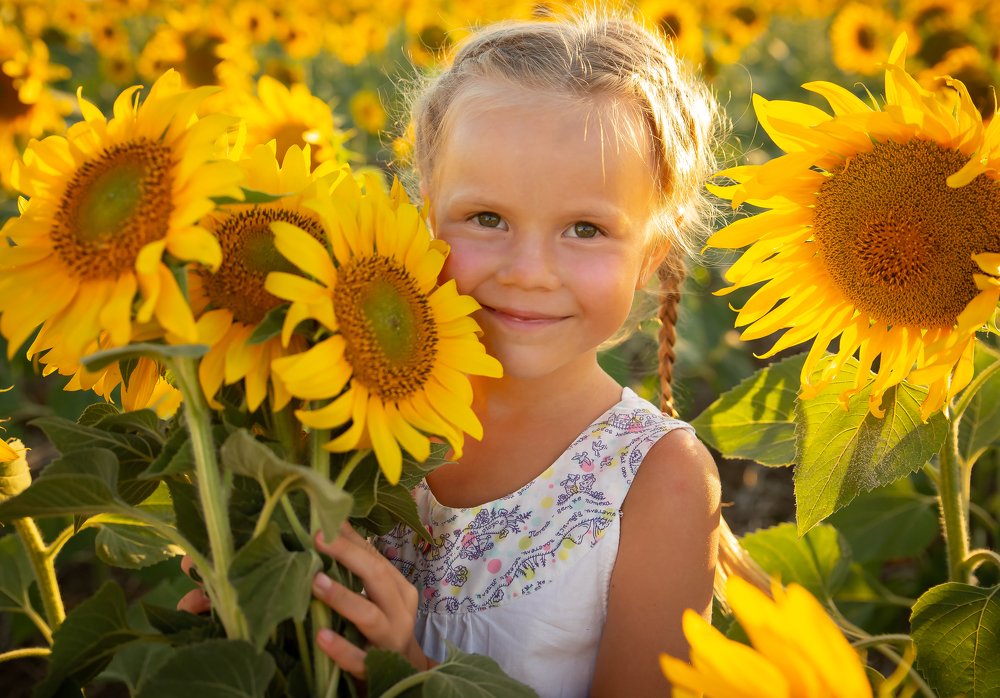 Верочка и подсолнушки