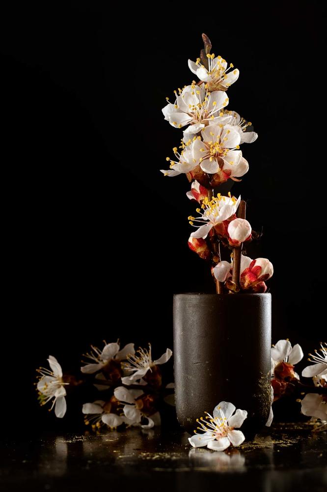 Photograph by Виталий Мытник