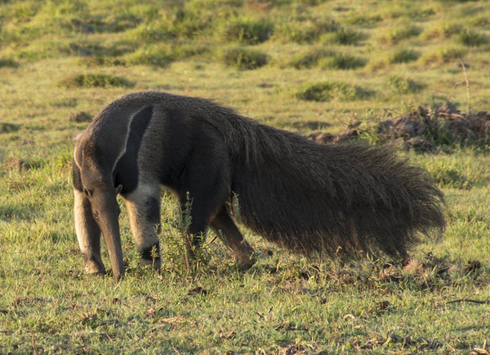 Photograph by Галина Михоношина