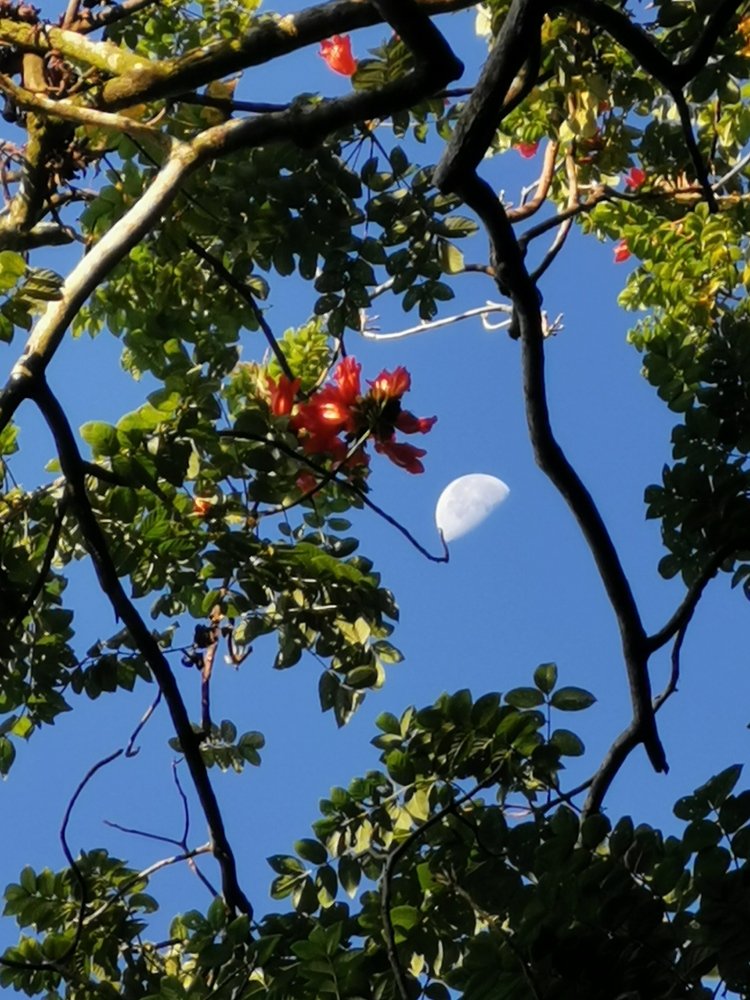 Half Moon in early morning