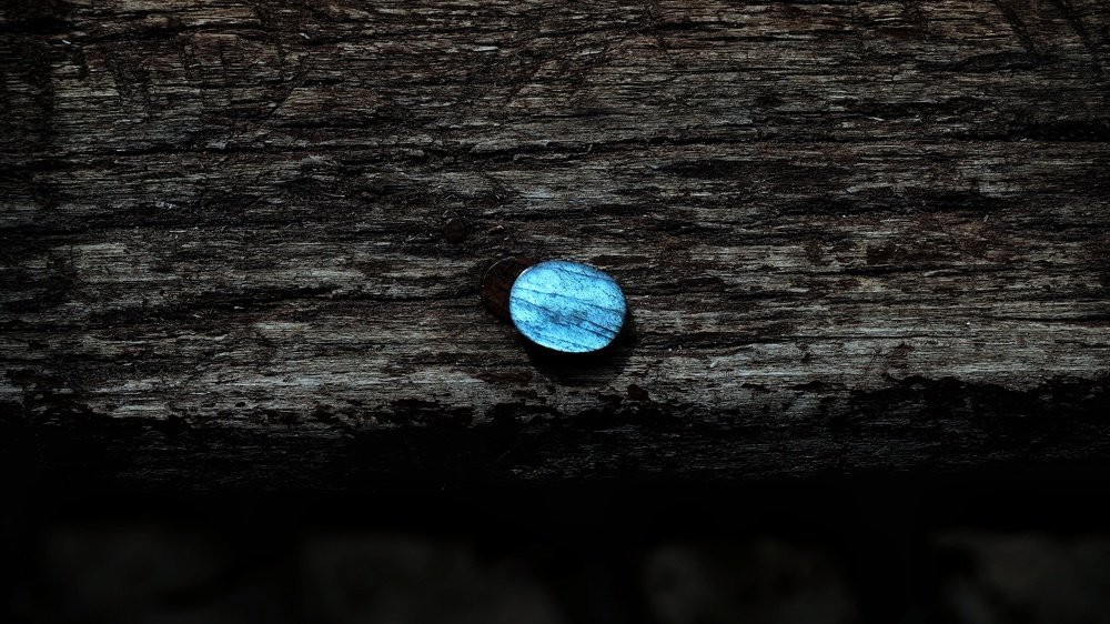 Photograph by Ali Rezaei