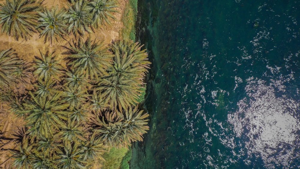 Photograph by Mustafa Khalaf