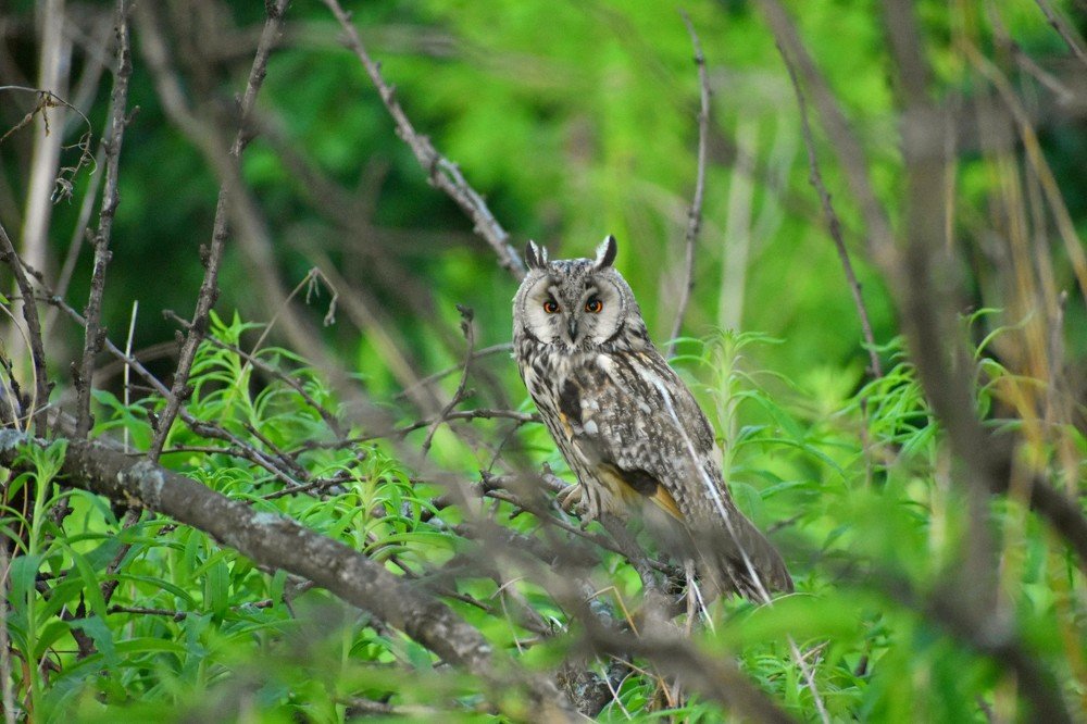 Photograph by Наталья Аржинт