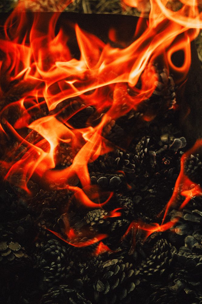 Photograph by Алена