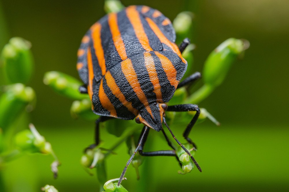 Photograph by Иван Радьков