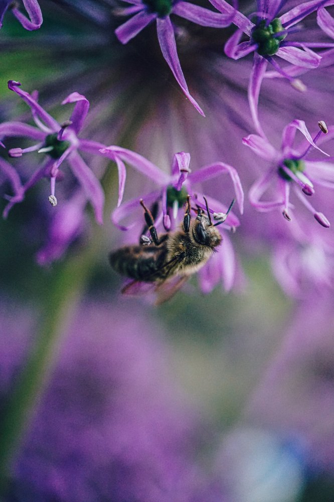 Photograph by Ксения Леонова