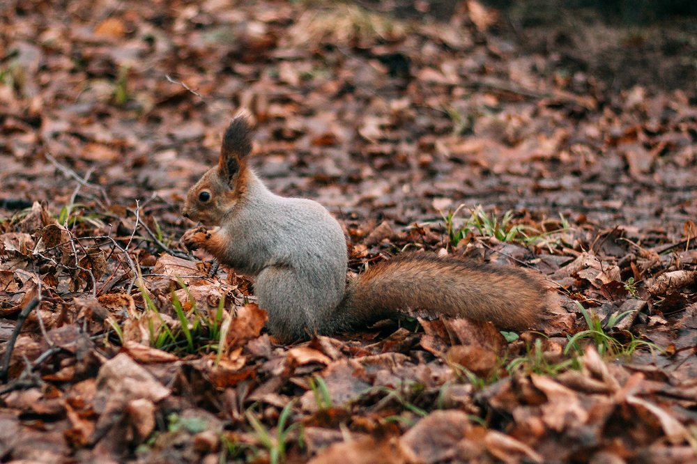 Photograph by Алена