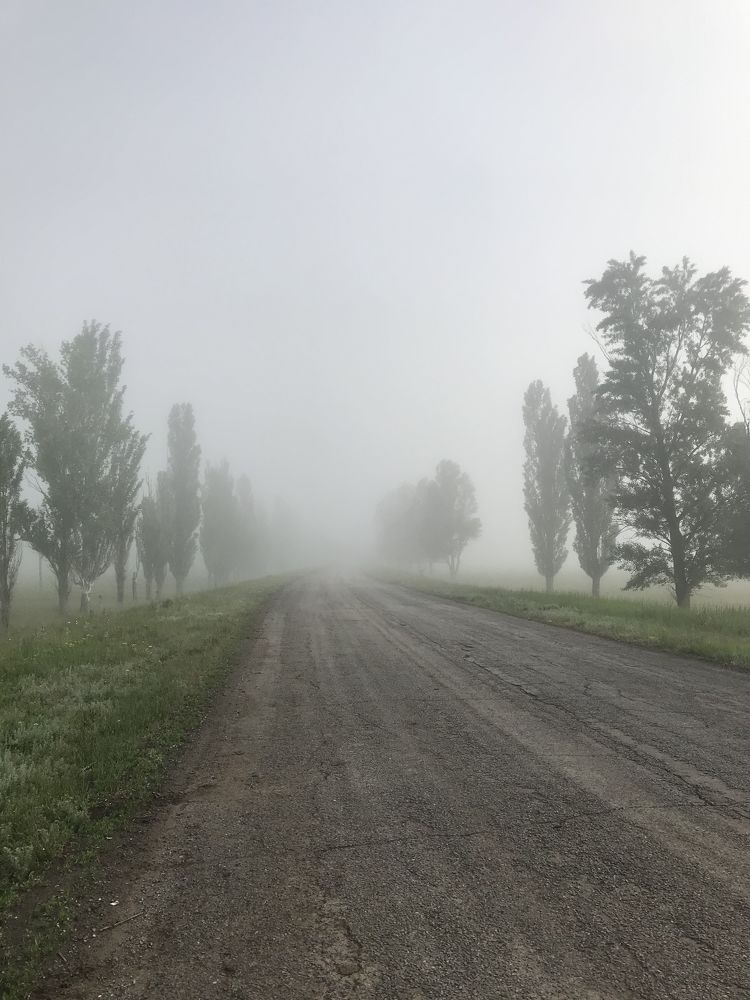 Photograph by Ирина Молибог