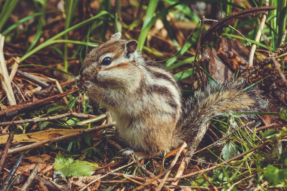 Photograph by Виктор Сёмушкин
