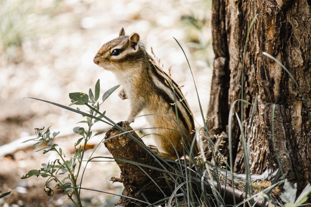 Photograph by Оксана Корчагина