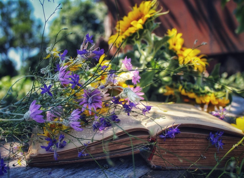 Photograph by Наталья Исиченко