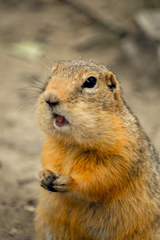 Photograph by Оксана Корчагина