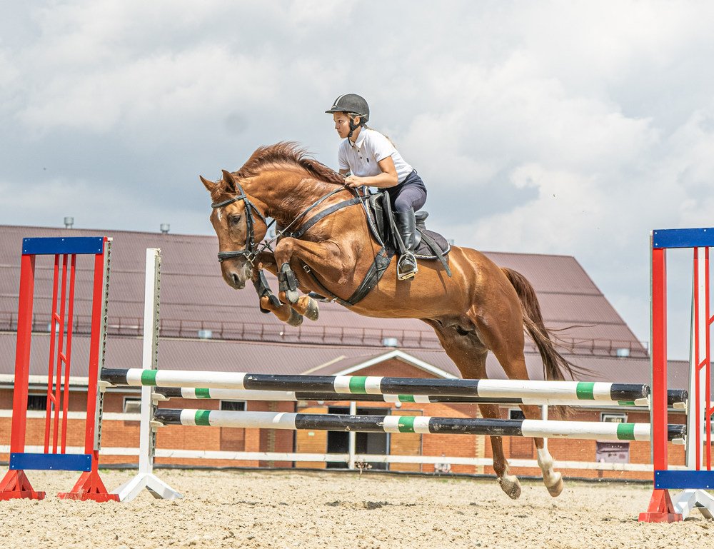 Photograph by Альфред Хлебин