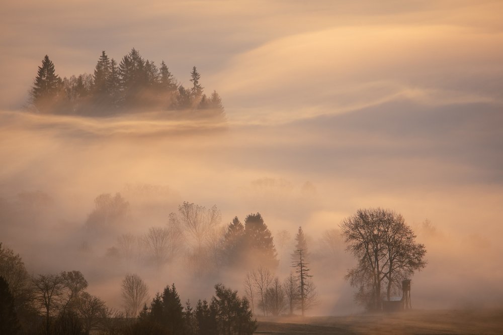 Photograph by Bartłomiej Polak