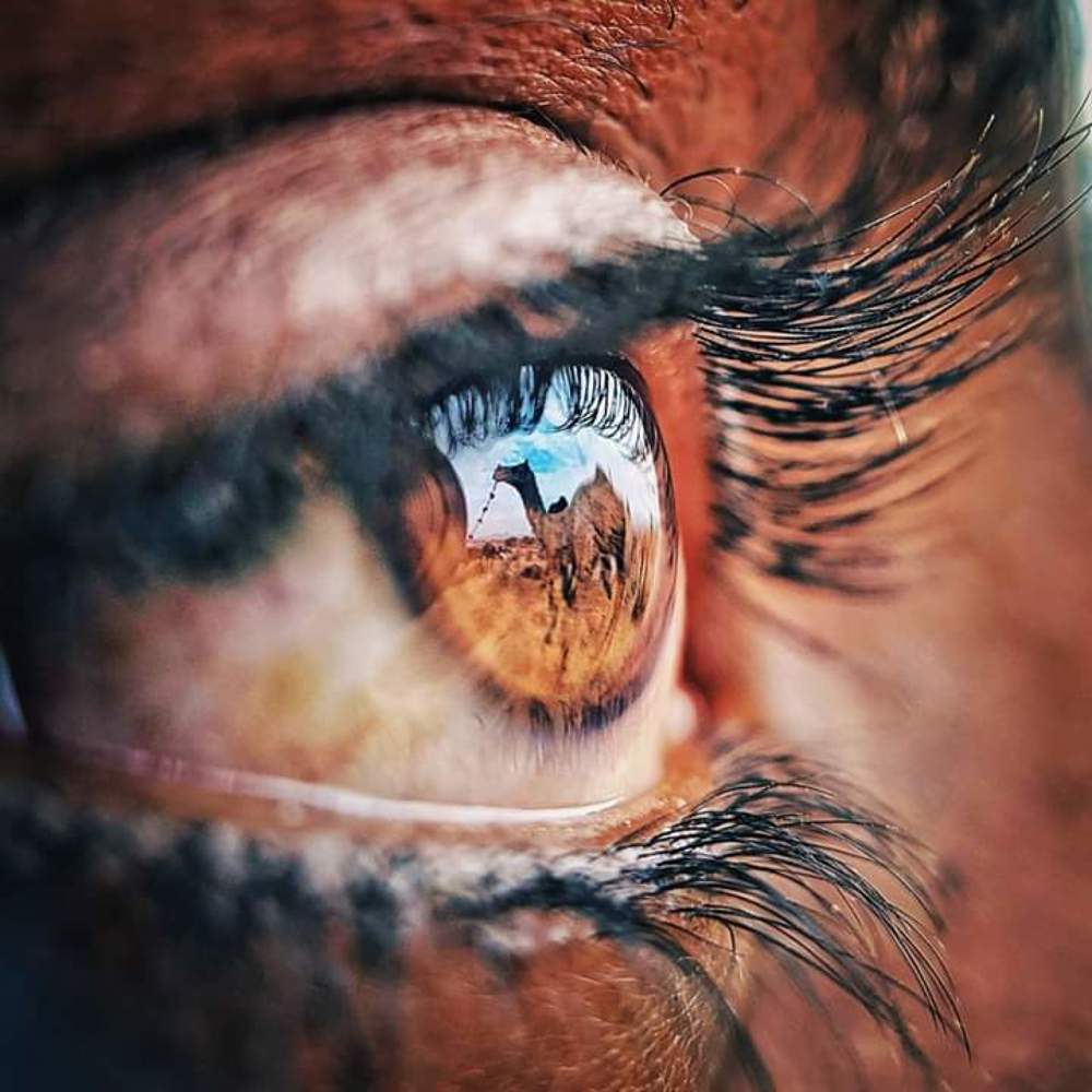 Photograph by Gorishankar Kumawat