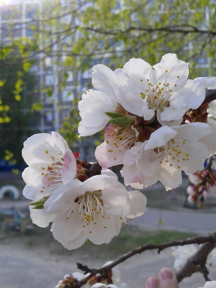 Photo #4772664