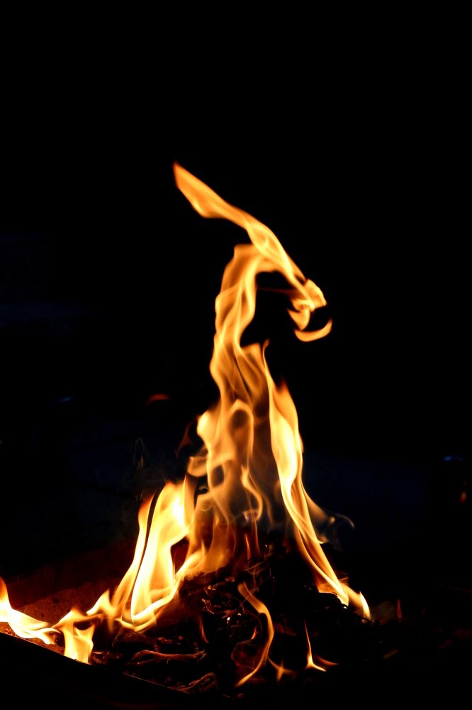 ID: Dragon Caught On Fire