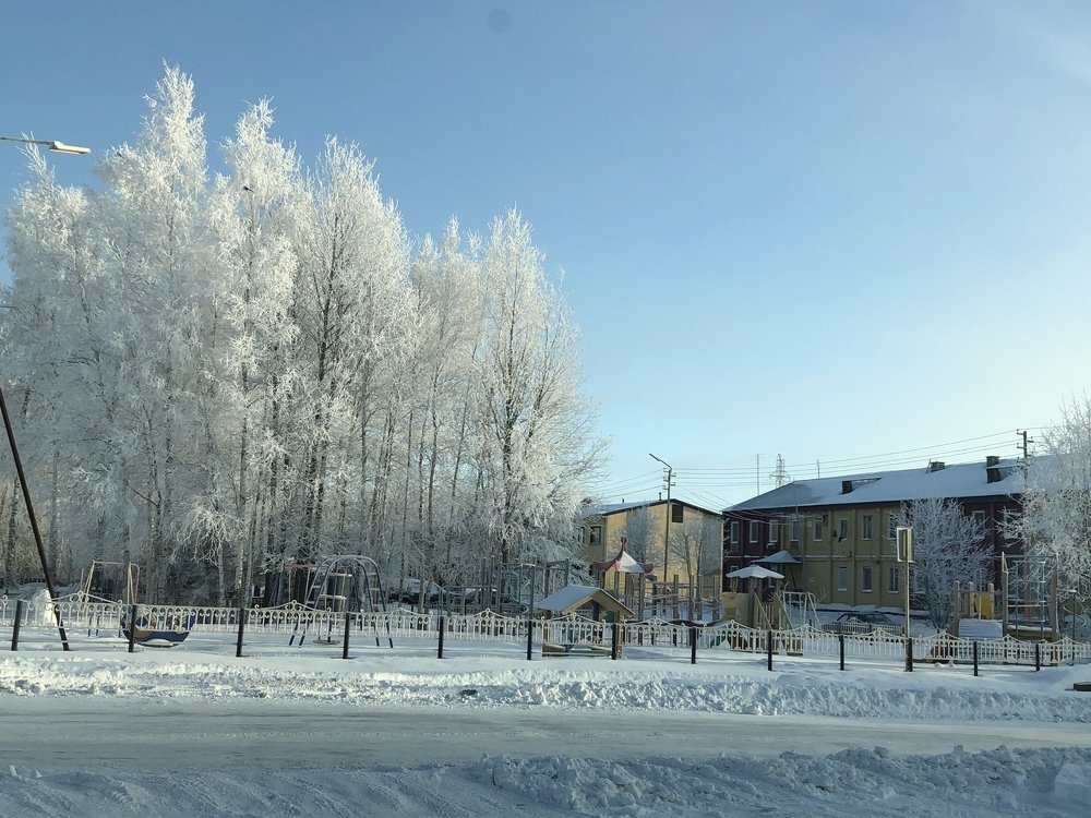 Морозный день